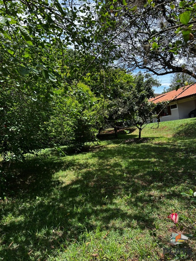 Terreno, 1000 m² - Foto 2