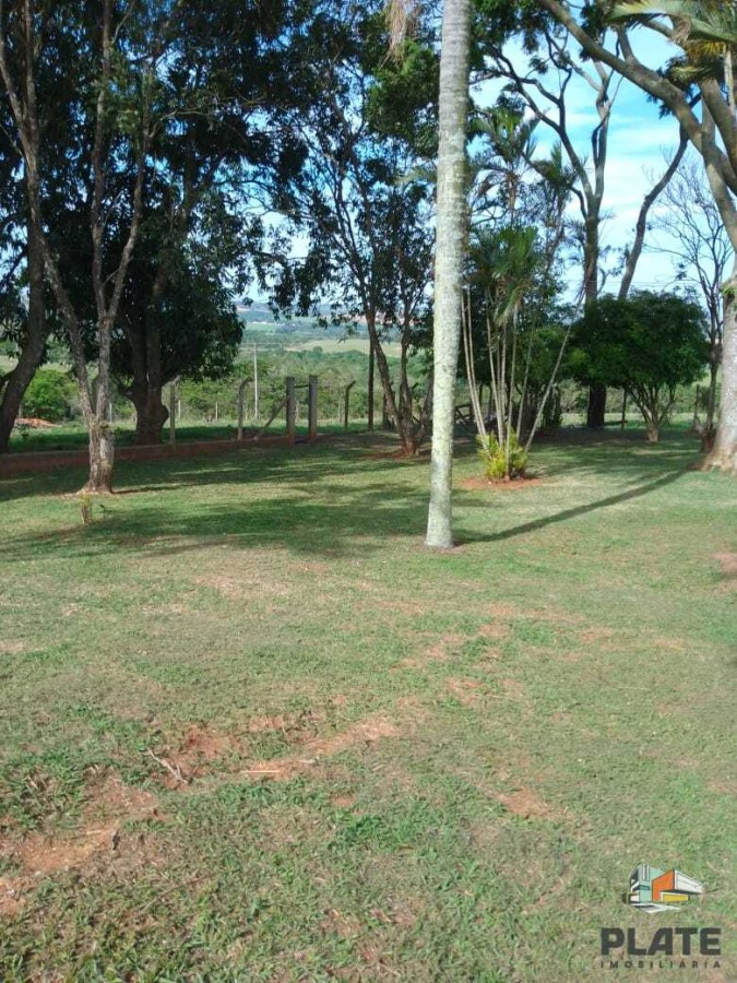Chácara, 10 hectares - Foto 27