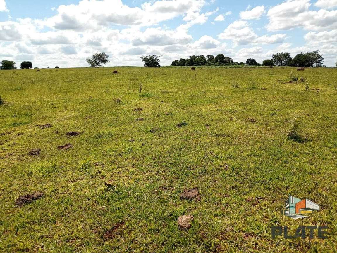 Sítio, 15 hectares - Foto 2