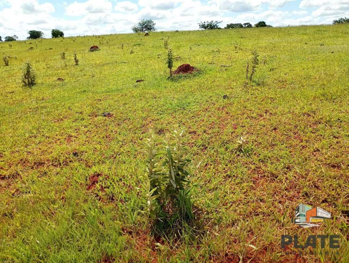 Sítio, 15 hectares - Foto 4