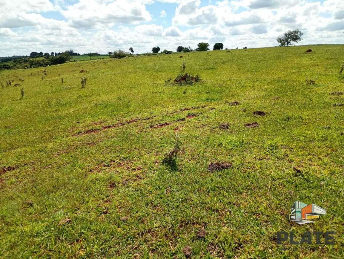 Sítio, 15 hectares - Foto 3