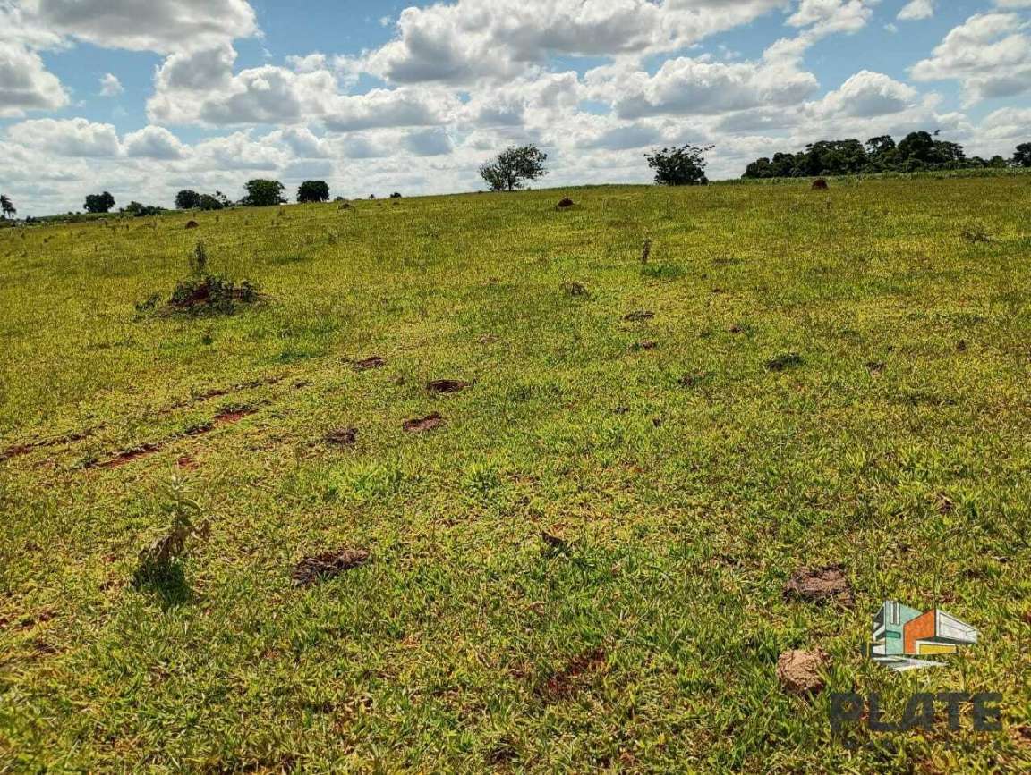 Sítio, 15 hectares - Foto 5