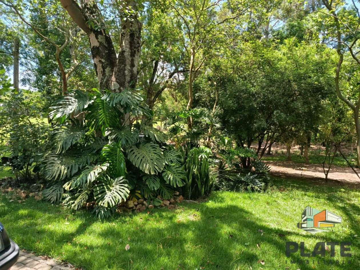 Chácara, 5400 m² - Foto 13