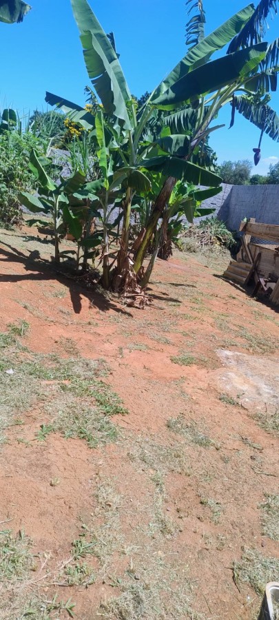 Chácara, 3 quartos, 1000 m² - Foto 20