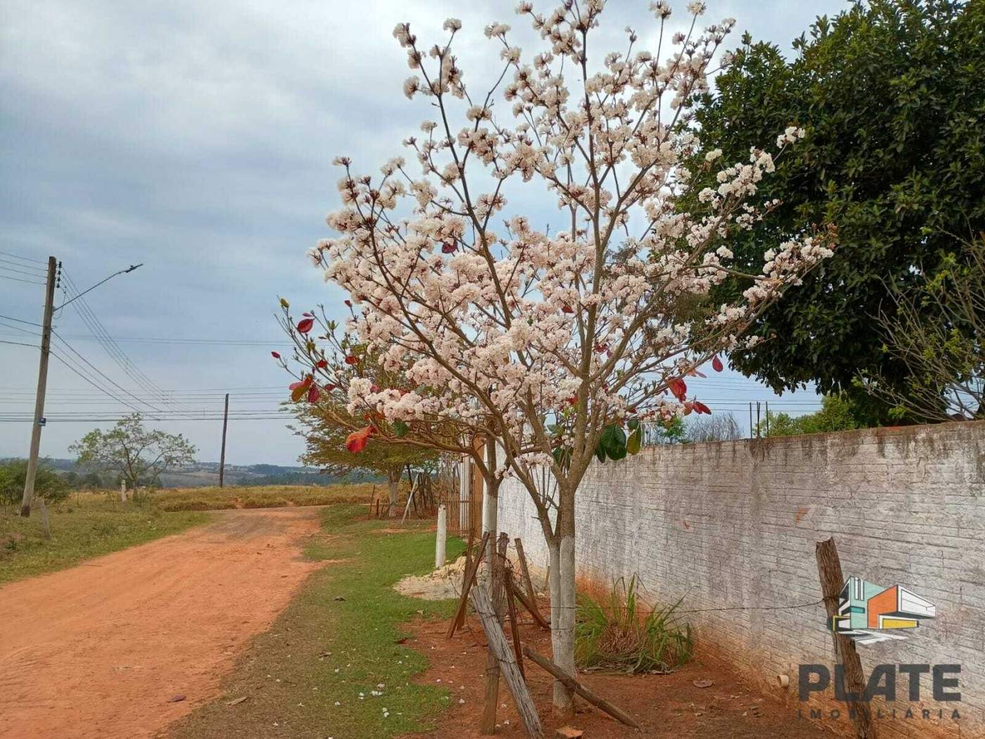 Chácara, 1000 m² - Foto 2