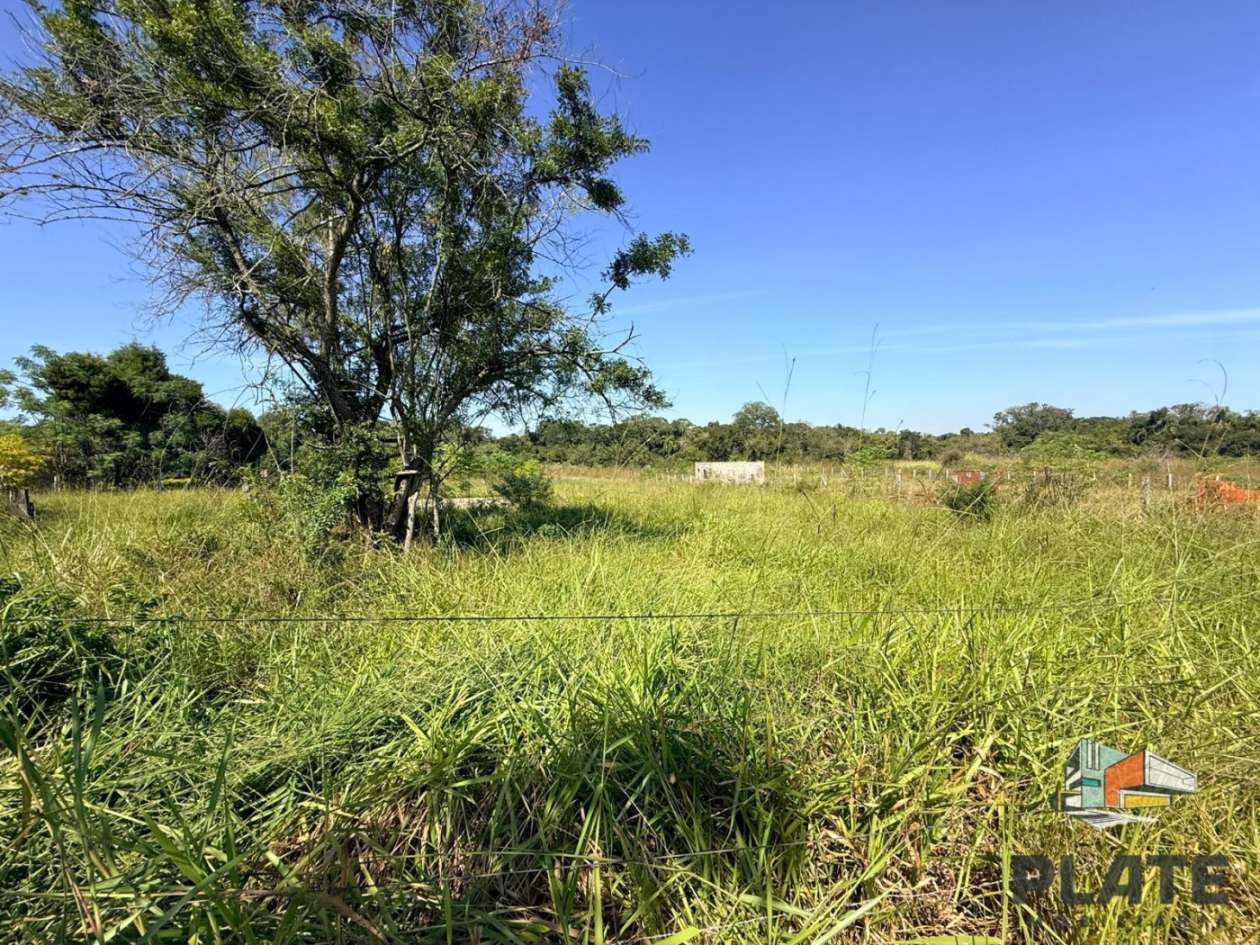 Terreno, 6000 m² - Foto 5