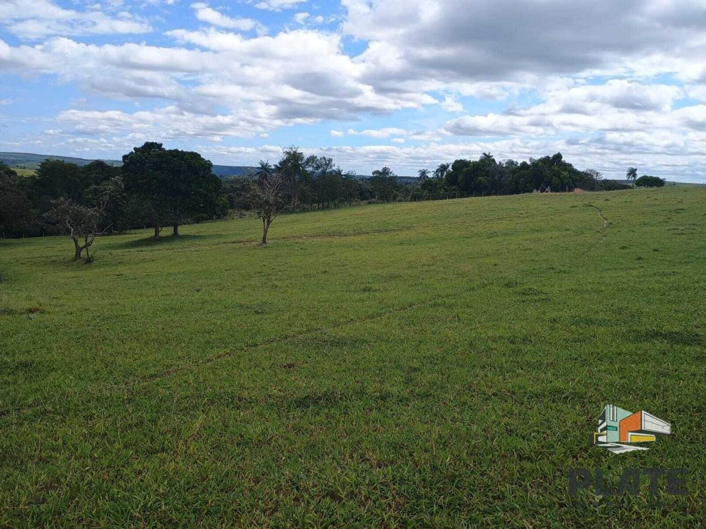 Sítio, 17 hectares - Foto 7