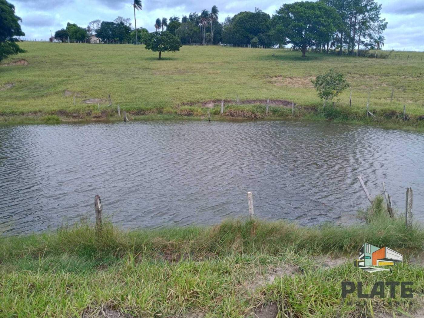 Sítio, 17 hectares - Foto 14