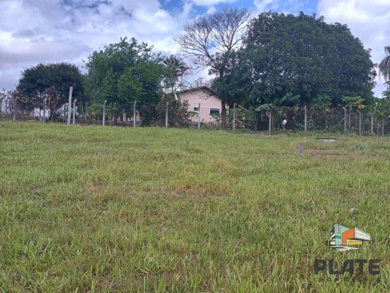Sítio, 17 hectares - Foto 18