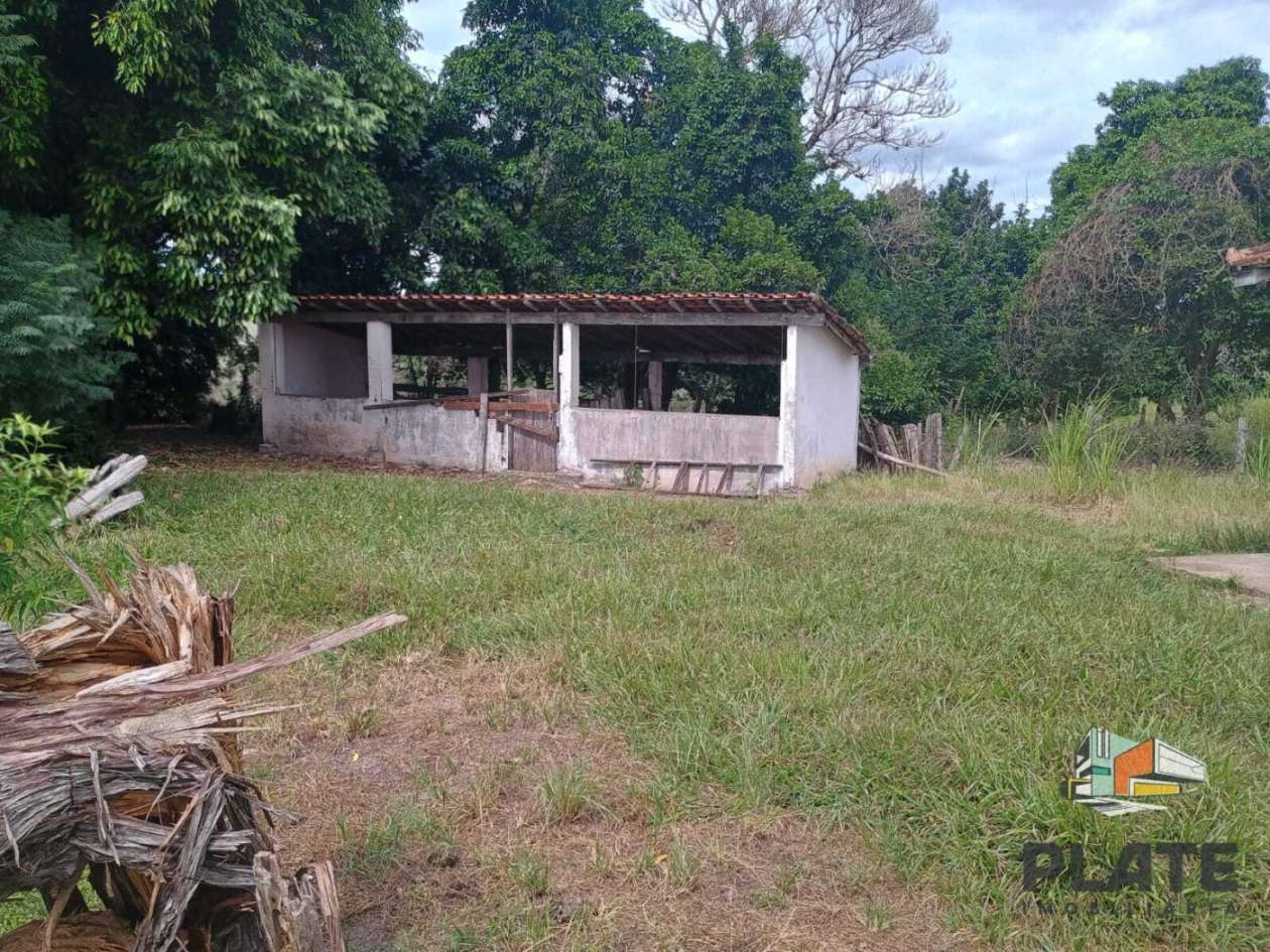 Sítio, 17 hectares - Foto 36