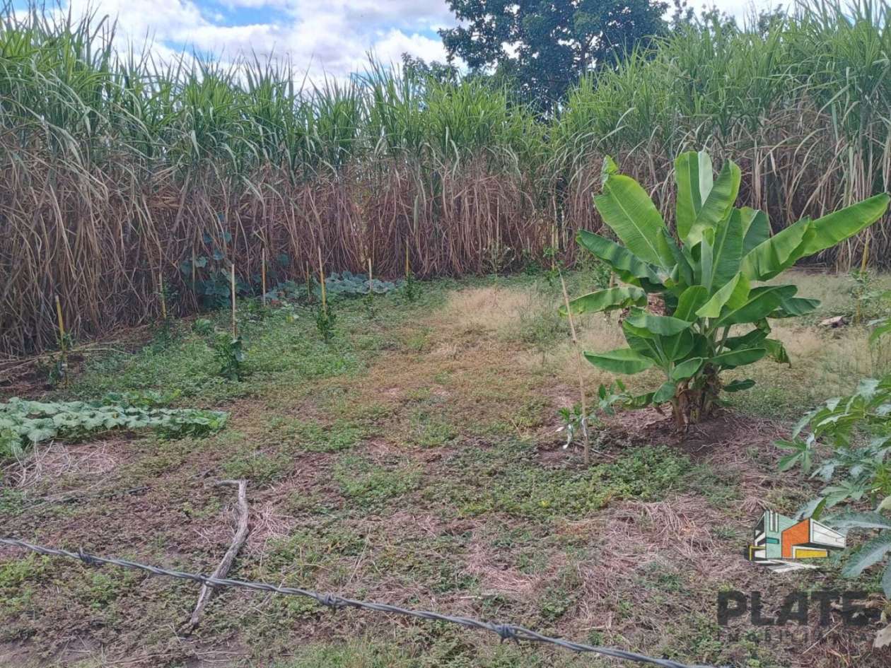 Sítio, 17 hectares - Foto 48