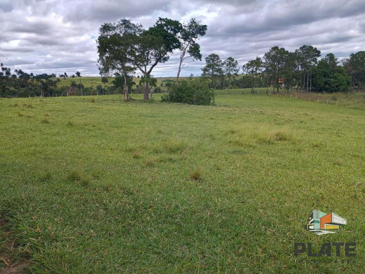 Sítio, 17 hectares - Foto 10