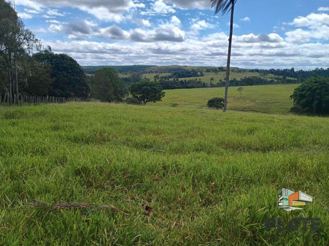Sítio, 17 hectares - Foto 11