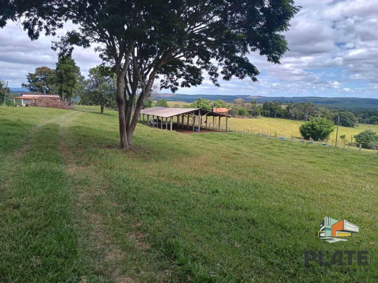 Sítio, 17 hectares - Foto 4