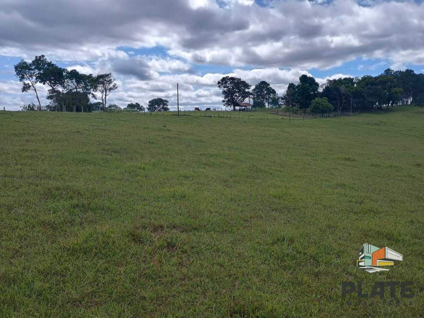 Sítio, 17 hectares - Foto 12