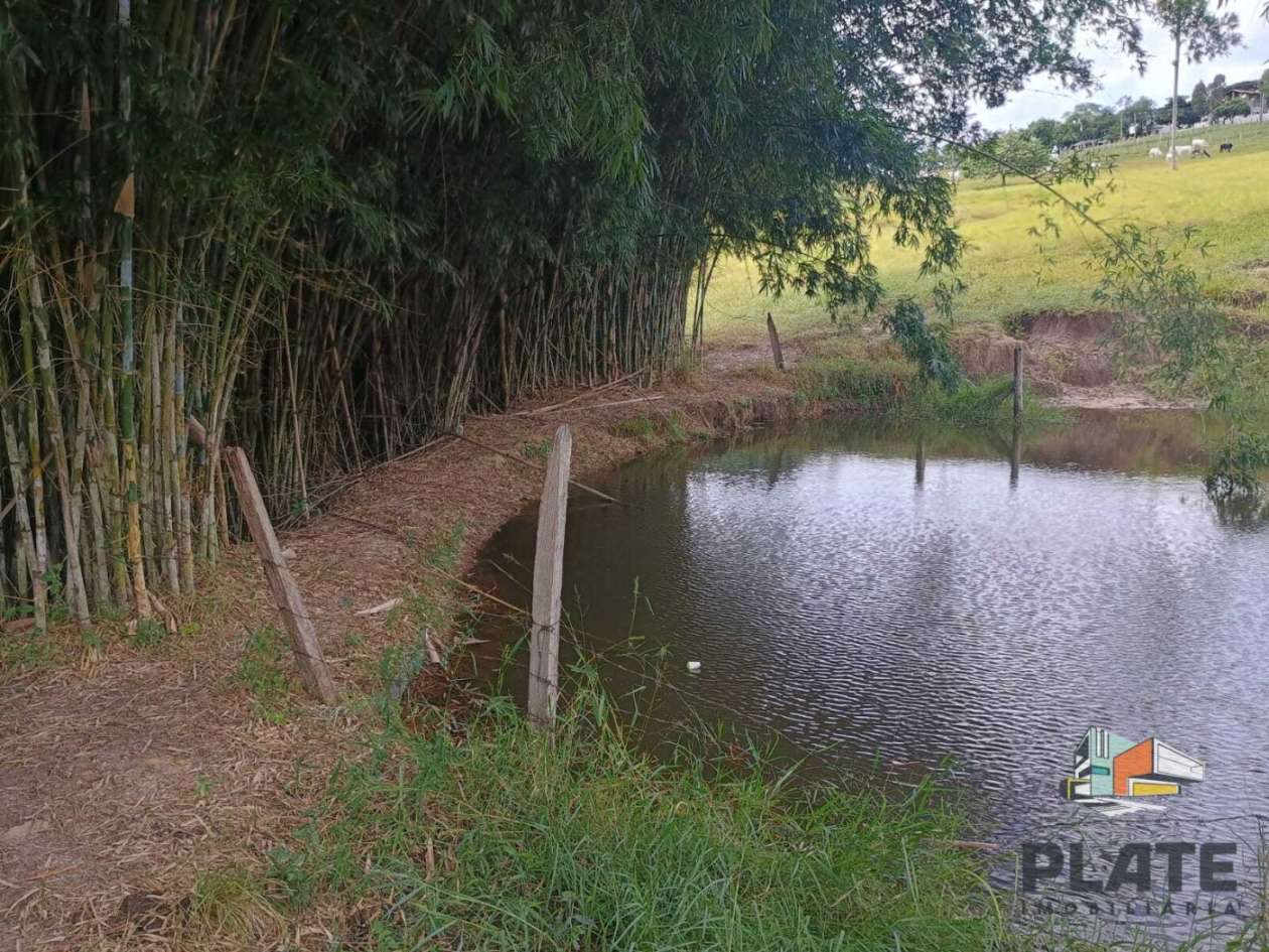 Sítio, 17 hectares - Foto 44