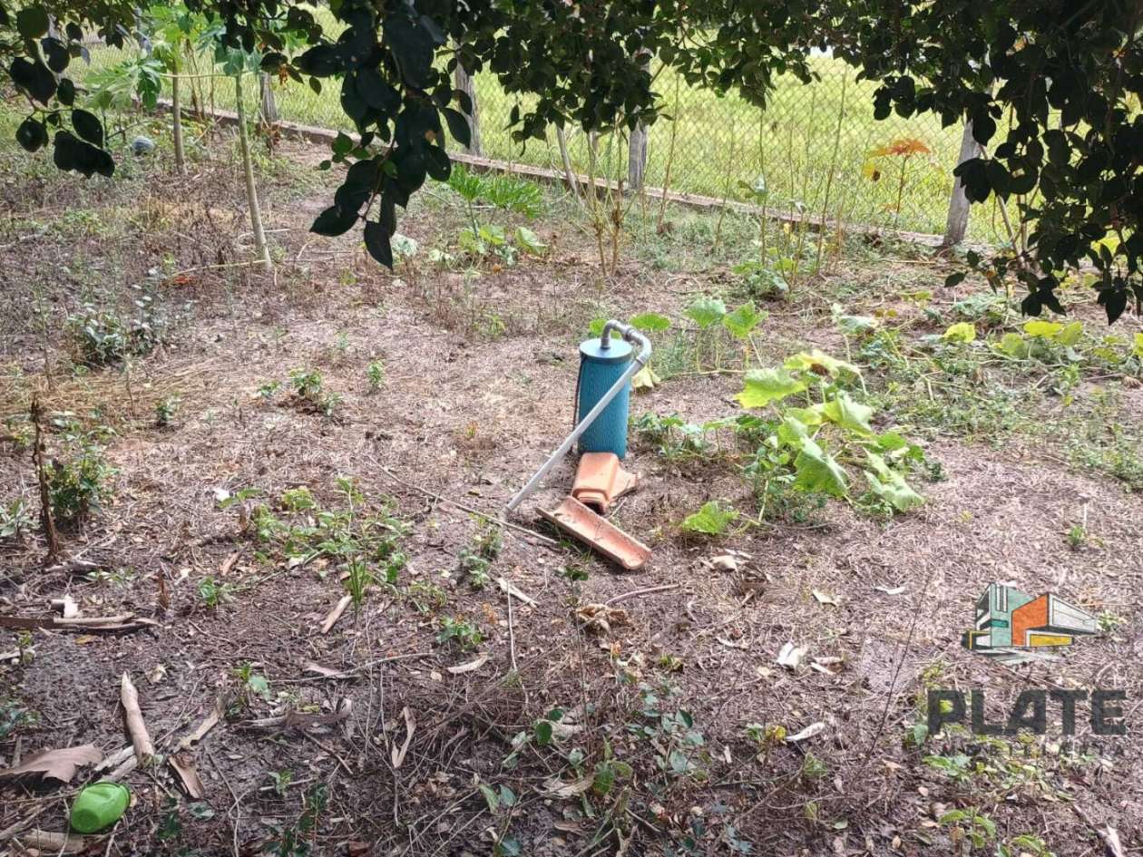 Sítio, 17 hectares - Foto 49