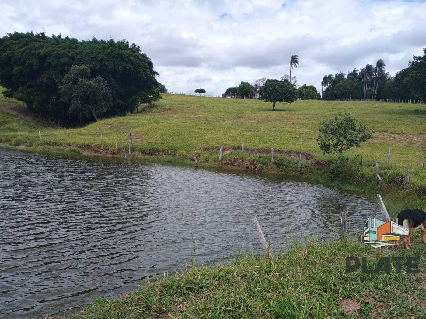 Sítio, 17 hectares - Foto 16