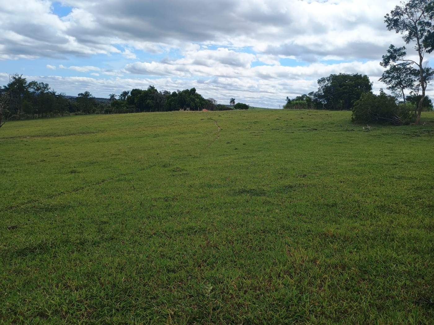 Sítio, 17 hectares - Foto 8