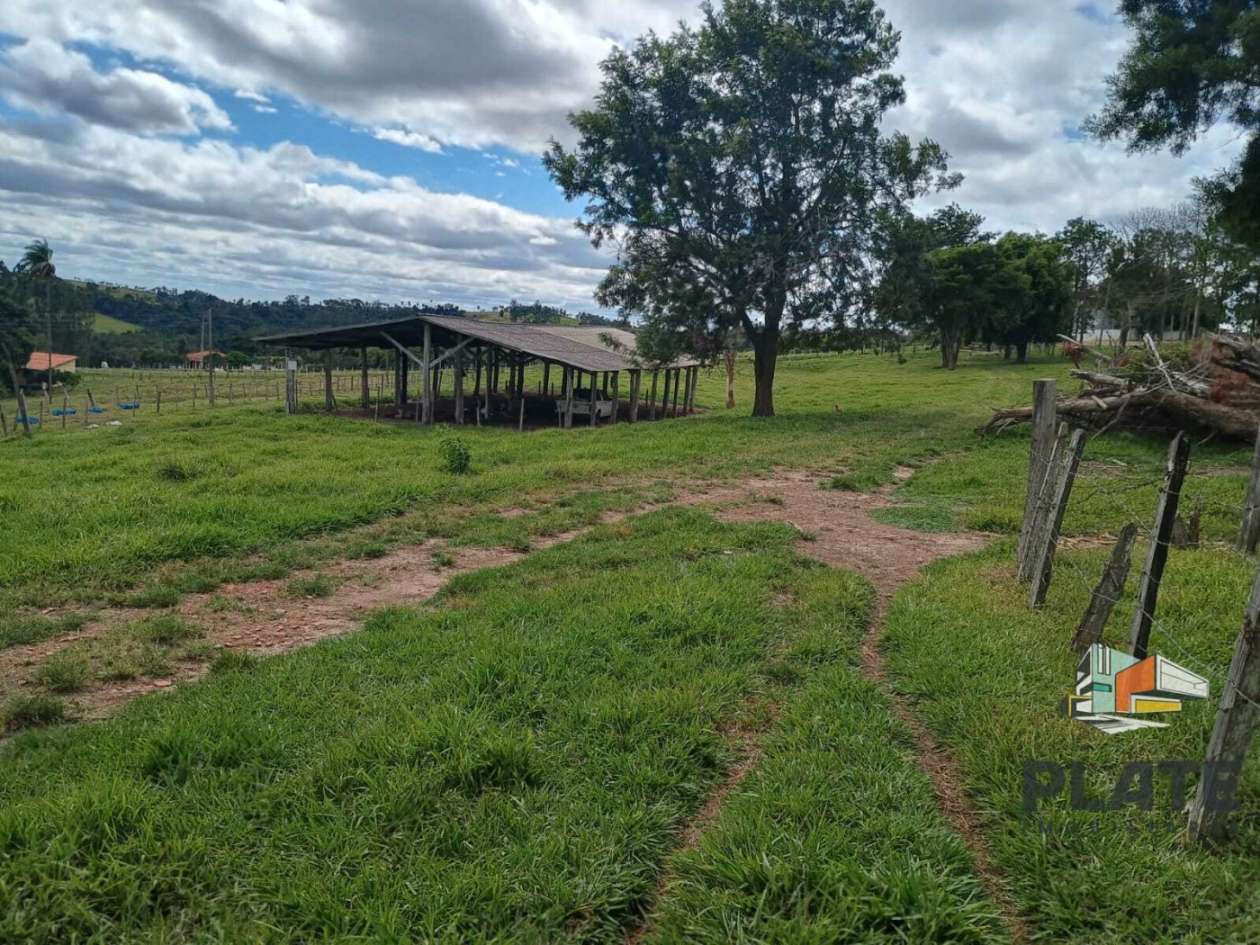 Sítio, 17 hectares - Foto 6