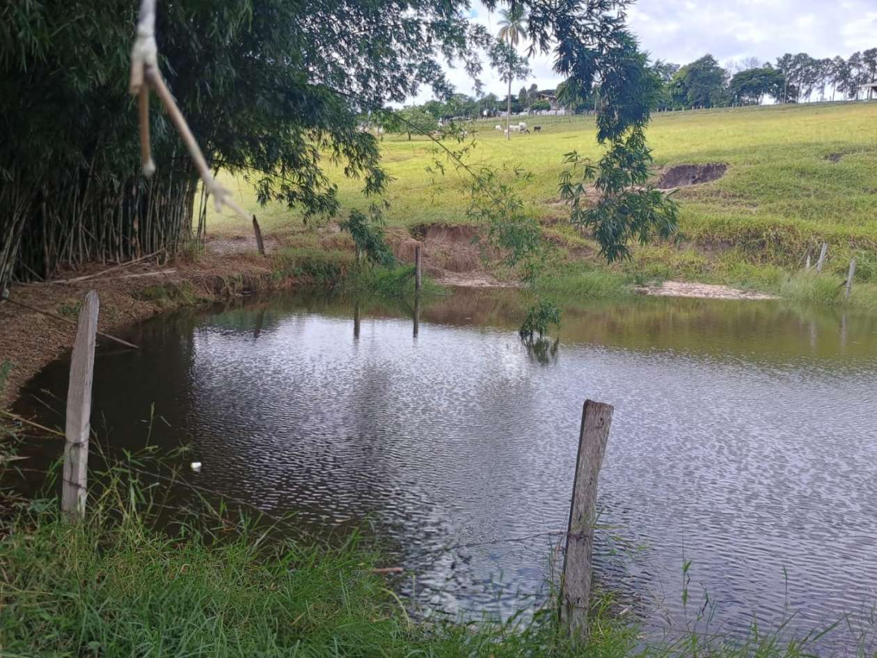 Sítio, 17 hectares - Foto 47