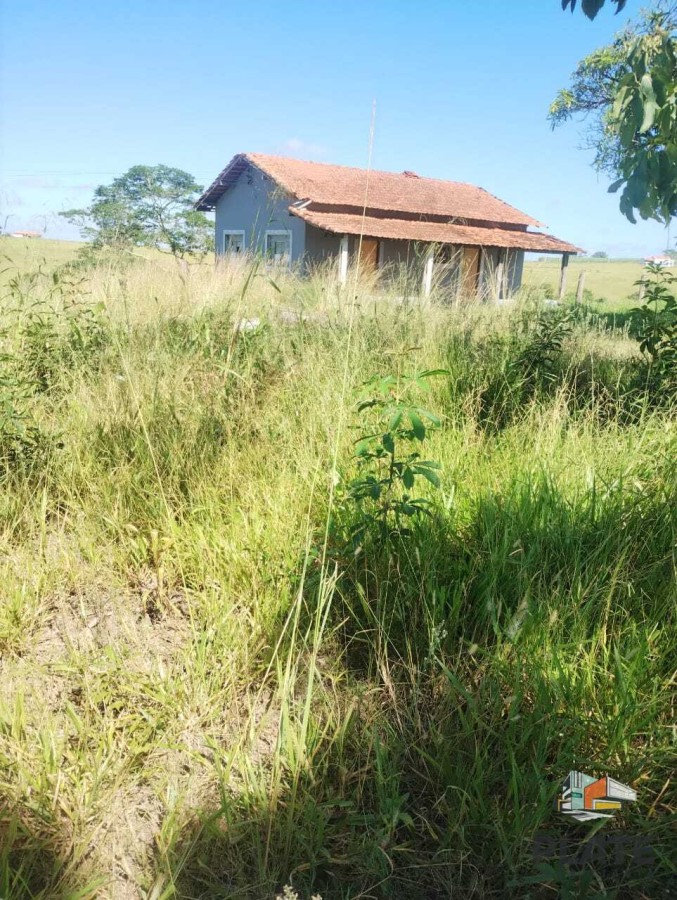 Sítio, 24 hectares - Foto 3