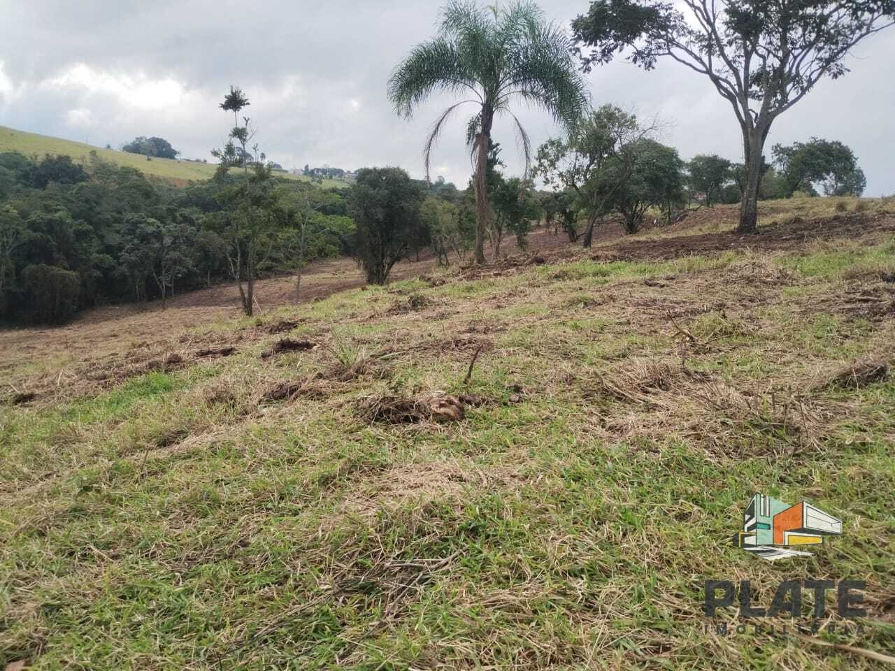 Sítio, 24 hectares - Foto 4